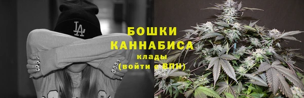 бошки Новозыбков