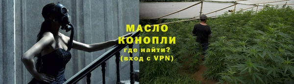 гидра Новодвинск