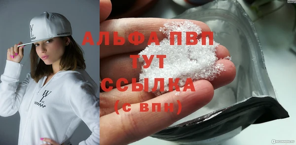 дживик Надым