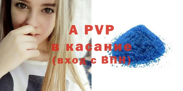 гидра Новодвинск