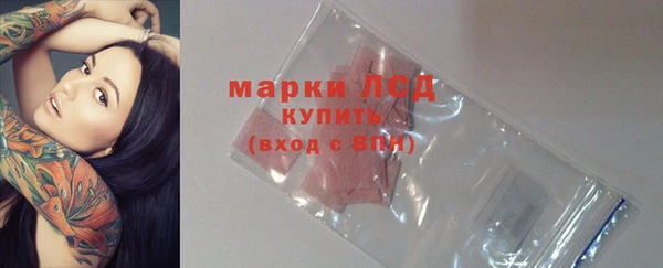бошки Новозыбков