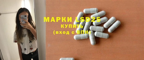 гидра Новодвинск