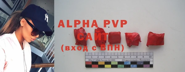 гидра Новодвинск