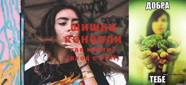 гидра Новодвинск