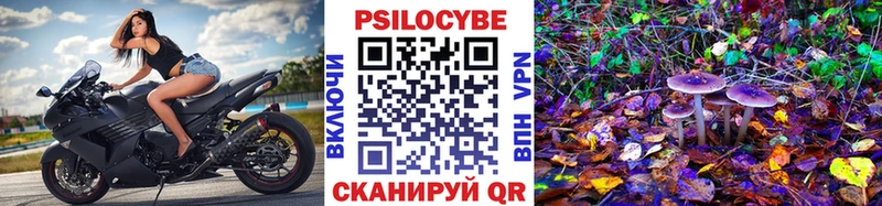 Псилоцибиновые грибы прущие грибы  хочу   Кашин 